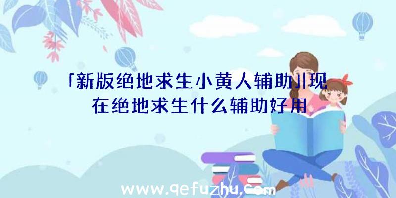 「新版绝地求生小黄人辅助」|现在绝地求生什么辅助好用